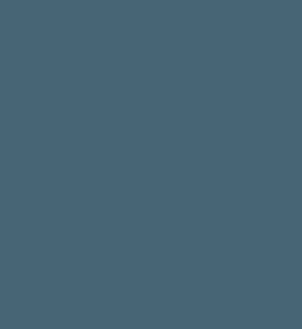 U4821-Petrol