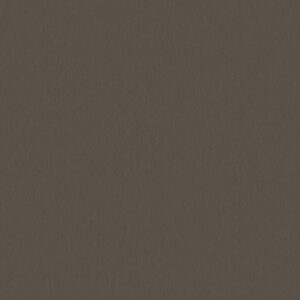 D4454-Titan Taupe