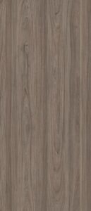 D4100-Swiss Elm Coffee