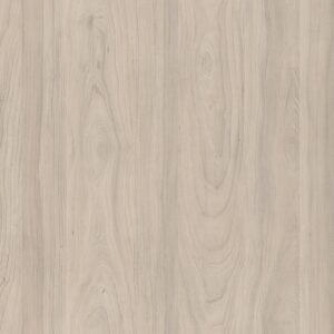 D2541-Swiss Elm Cold