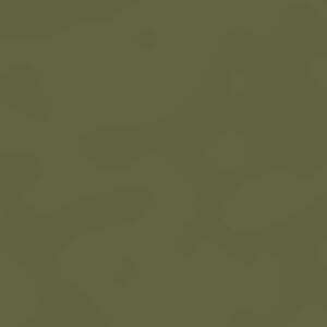 U2508-Olive