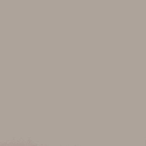 U3188-Toffee