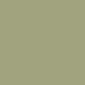 U4439- Pistachio Green