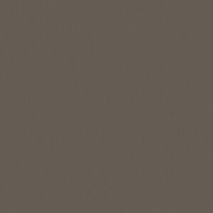 D4452-Titan Silver