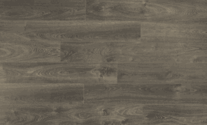 D2025 CP Leysin Oak