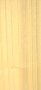 POPLAR