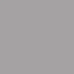 SM 3020 Safari Grey