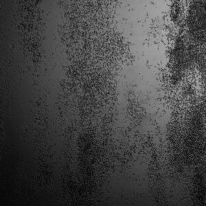 Texture-LX